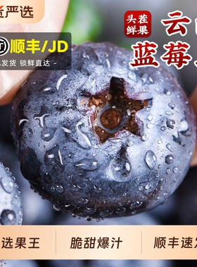 云南蓝莓鲜果特大礼盒当季高山L25花香新鲜水果孕妇怡颗蓝梅顺丰