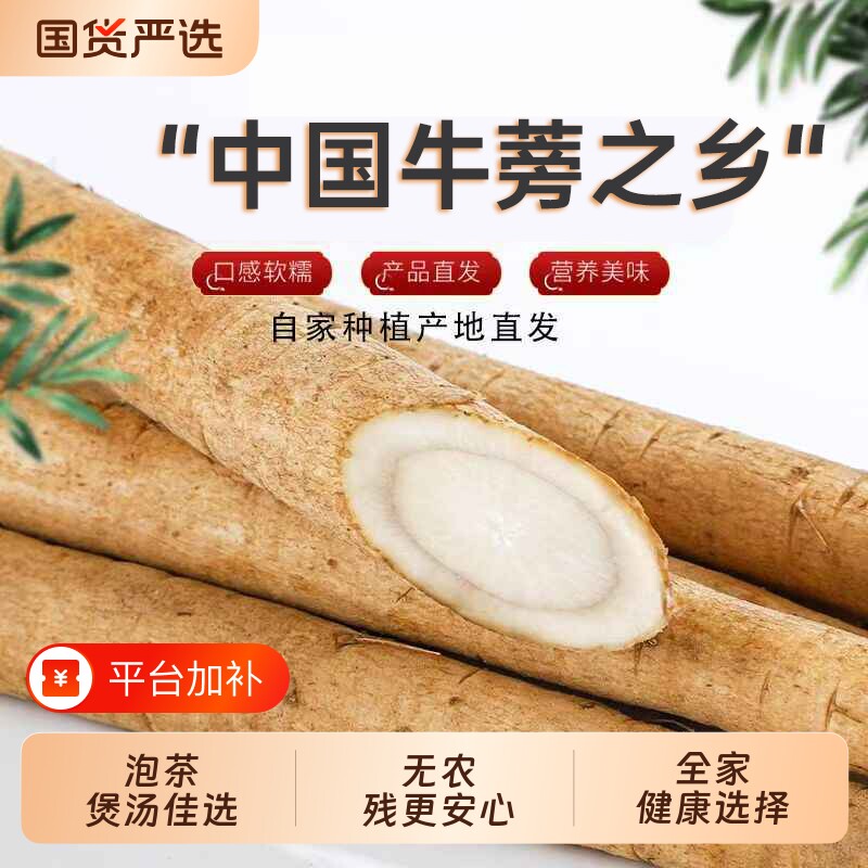 2026年现挖黄金牛蒡根黄皮5斤苍山特产多汁牛蒡根牛蒡茶新鲜