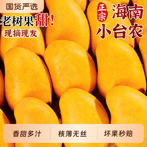 正宗海南小台农芒芒果新鲜9斤大果当季现摘水果热带特产芒果甜香