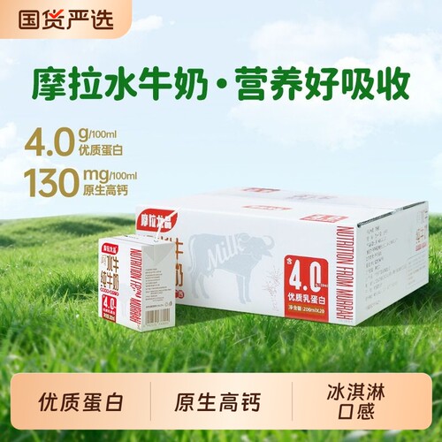 摩拉尤品水牛纯牛奶儿童高钙牛奶