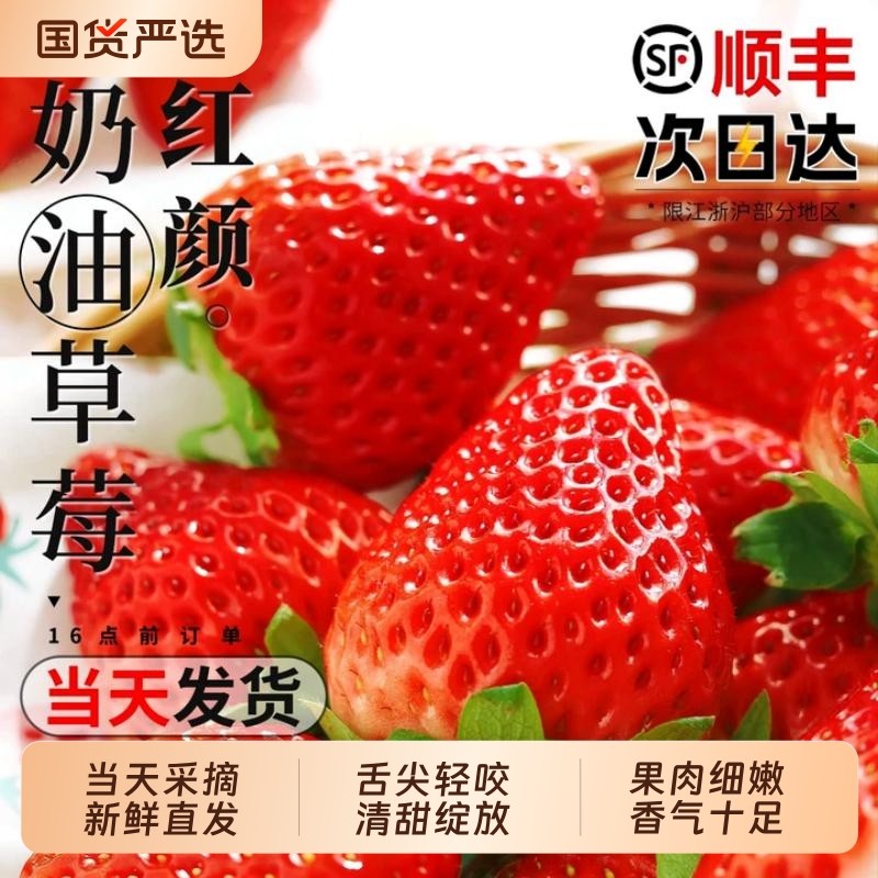 红颜奶油草莓99牛奶大奶油新鲜水果礼盒当季整箱包邮顺丰草莓味,水产肉类/新鲜蔬果/熟食,草莓,淘宝优惠券,粉丝福利购,淘宝优惠卷