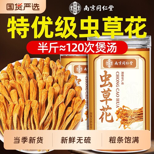 【当季新货】虫草花干货煲汤鲜美