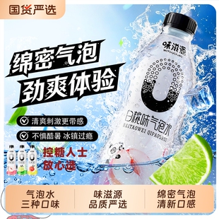味滋源电解质气泡水350ml*12瓶
