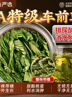 车前草野外生干货官方旗舰店降利水尿酸消肿泡水喝功效特级中药材