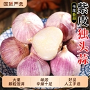 紫皮蒜云南大理干蒜独头蒜5斤大蒜头新蒜蒜米独蒜新鲜农家湿当季