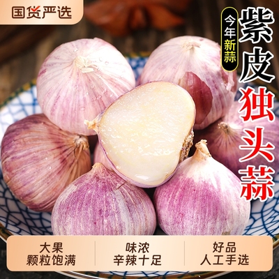 紫皮蒜云南大理干蒜独头蒜5斤大蒜头新蒜蒜米独蒜新鲜农家湿当季