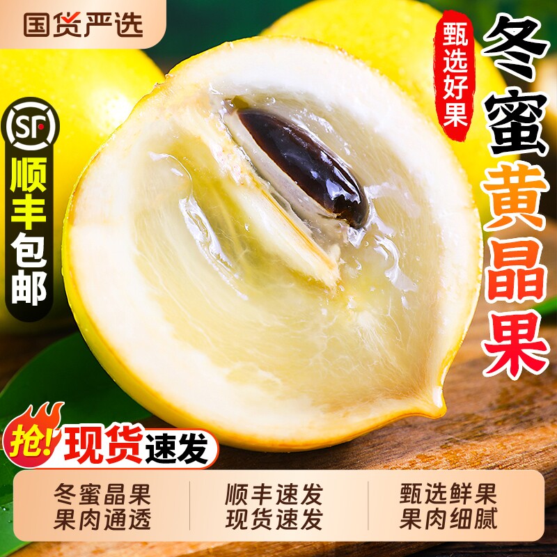 云南冬蜜黄晶果5斤新鲜黄金果当季现摘蛋黄果时令孕妇水果包邮