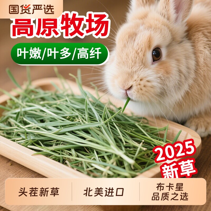 提摩西草2026年晒干兔子荷兰猪豚鼠牧草兔粮饲料美提加提兔草幼兔