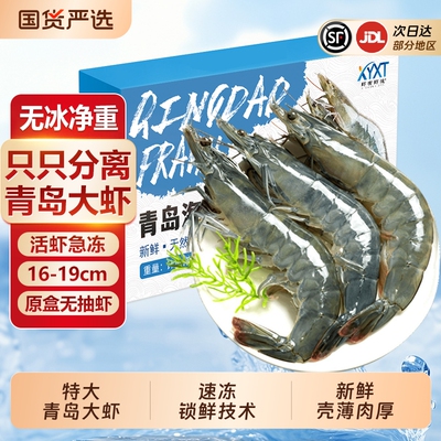 特大青岛大虾鲜活冷冻无冰