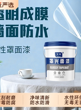 水性罩面漆室内外墙面专用防水透明清漆乳胶漆内墙水泥墙防霉哑光