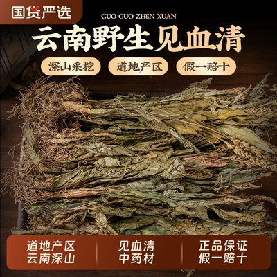 见血清中药材正品云南贵州野生中草药正宗新鲜干货带根血见清泡茶
