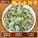 野生大叶正宗金钱草中草药中药材广金钱草茶结石鸡内金玉米须泡茶
