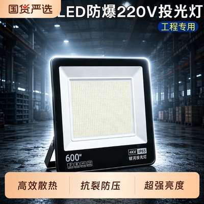 超亮led投光灯户外庭院灯工厂仓库射灯户室外防水工程路灯探照灯