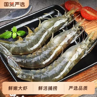 青岛大虾鲜活速冻大虾3斤