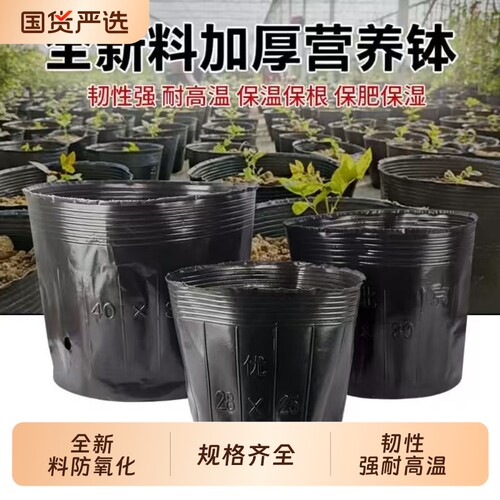 育苗杯加厚黑色塑料|190人收藏