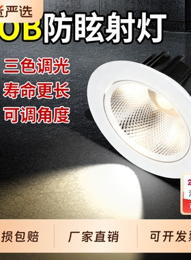 射灯LED天花灯嵌入式COB客厅家用孔灯筒灯3W7W店铺商用2寸牛眼灯