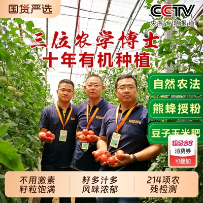 黄金籽西红柿新鲜4.8-5斤装