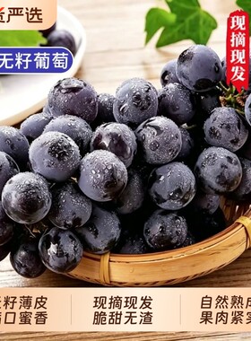 正宗夏黑葡萄新鲜应当季无籽葡萄黑加仑提子孕妇水果顺丰包邮整箱