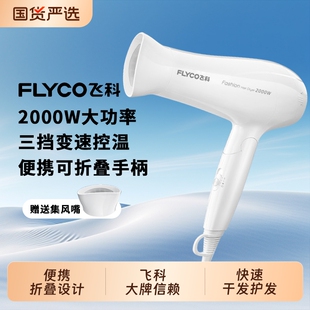 飞科电吹风机家用理发店大功率便携可折叠风筒护发大风力速干