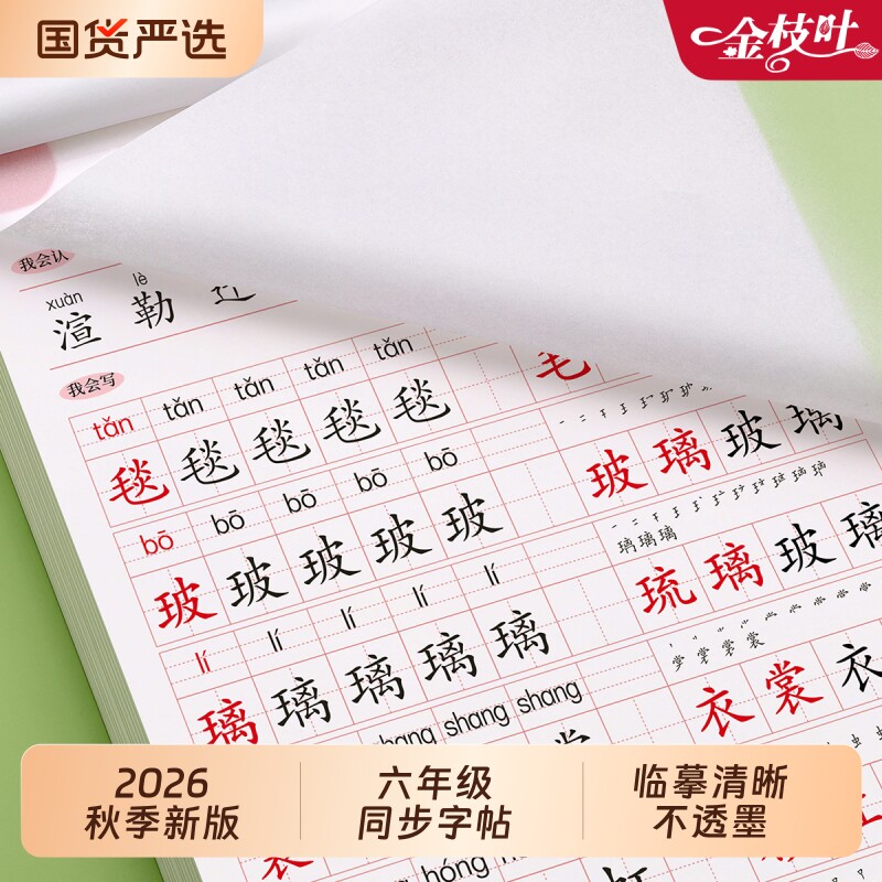 六年级生字练字帖上册下册小学生同步字帖写字课课练6人教版钢笔临摹楷书语文英语笔顺正楷儿童初学者每日一练习毛笔书写作文新版