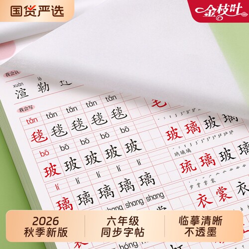 六年级生字练字帖上册下册小学生同步字帖写字课课练6人教版钢笔临摹楷书语文英语笔画笔顺正楷儿童初学者每日一练习毛笔书写组词