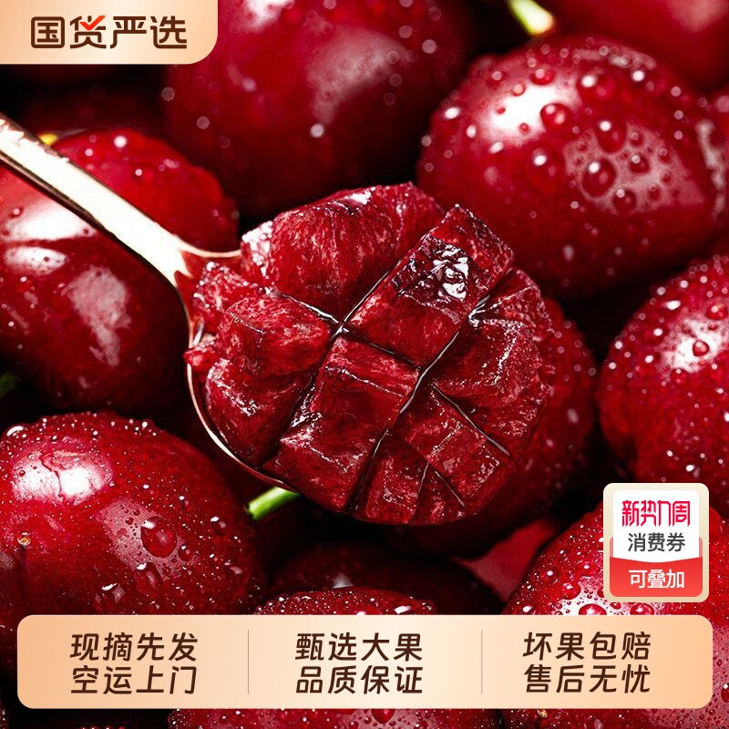正宗大连美早大樱桃现摘现发甄选大果新鲜包邮空运车厘子
