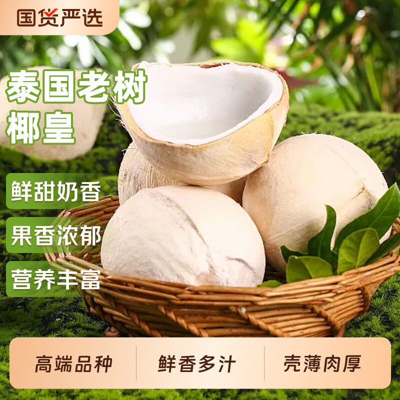泰国进口小奶椰皇老树椰皇椰子孕妇当季新鲜水果整箱京东顺丰包邮