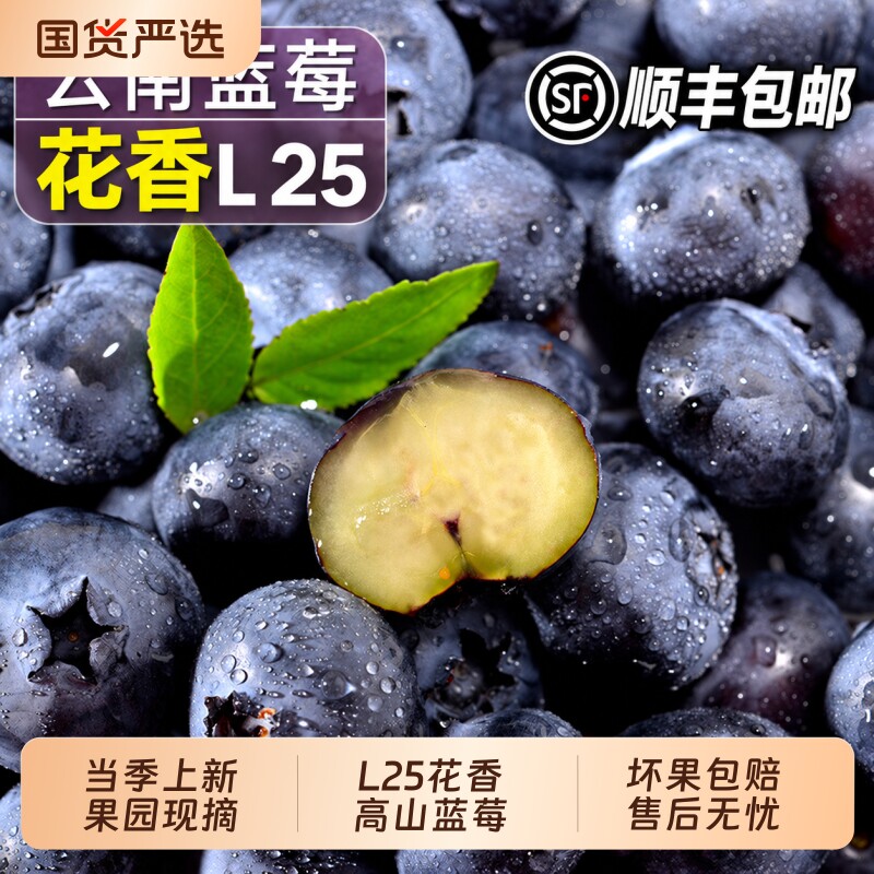 云南花香蓝莓现摘顺丰L25高山特大鲜果孕妇当季时令高端新鲜水果