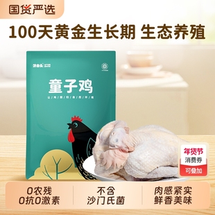 好念头整只童子鸡正宗新鲜地鸡土鸡山鸡现杀活鸡蒸鸡鸡肉始祖黑鸡