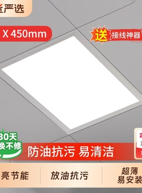 300x450集成吊顶led灯嵌入式厨房卫生间铝扣板平板灯30x45cm顶灯