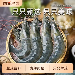 鲜活冷冻白虾海捕青岛大虾3斤