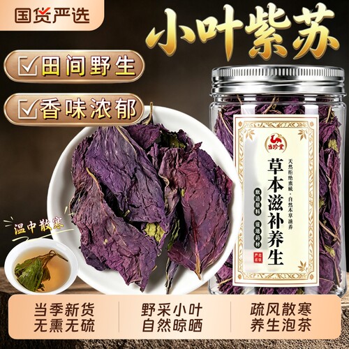 野生紫苏叶中药材官方旗舰店新鲜食用香料小叶紫苏叶苏子叶泡水喝
