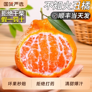 正宗四川不知火丑橘应当季新鲜水果丑八怪耙耙整箱包邮现摘年货节