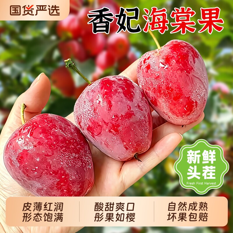 新疆香妃海棠果新鲜水果应当季脆甜锦绣鸡心小苹果酸沙果整箱包邮