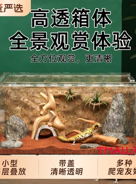 爬宠饲养缸小型亚克力带晒台躲避屋守宫角蛙寄居蟹乌龟水陆两栖缸
