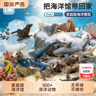 海洋动物玩具仿真鲨鱼类模型深海巨兽蓝鲸巨齿鲨海底生物新年礼物