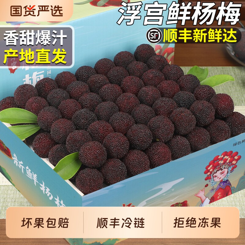 顺丰速达正宗漳州浮宫鲜杨梅水果现摘现发新鲜水果当季整箱包邮