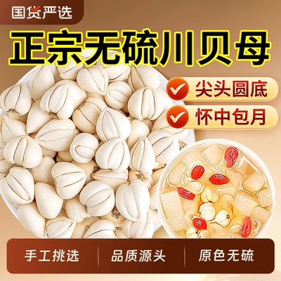 特优级原色川贝母中药材正品