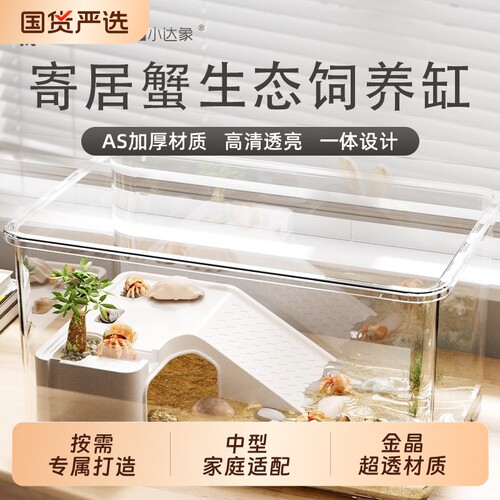 寄居蟹饲养箱套装小型桌面爬宠箱相守蟹螃蟹生态养殖箱乌龟饲养缸