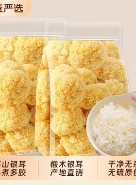 净重古田椴木小银耳干货糯耳羹易煮出胶雪耳无硫干货古田小银耳