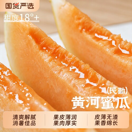 正宗黄河蜜瓜甜瓜新鲜水果