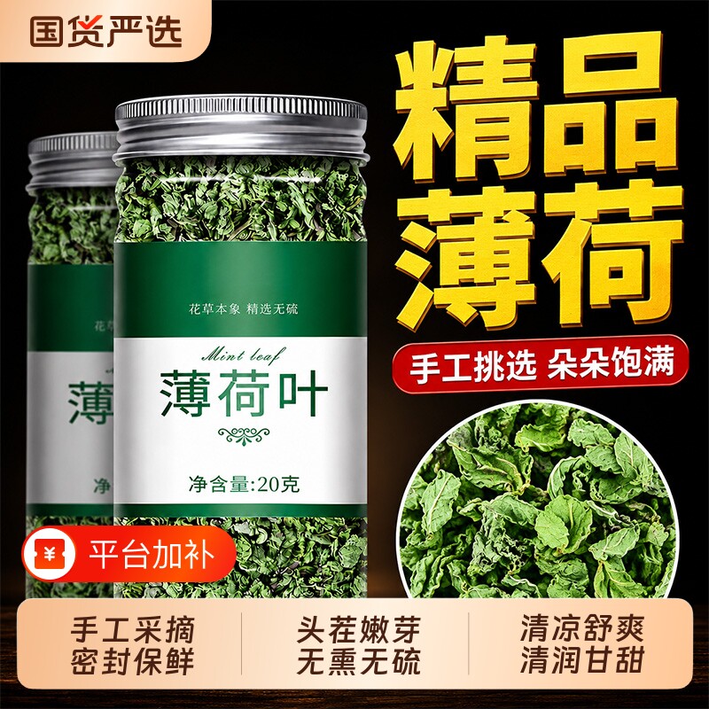 薄荷叶无硫熏特级新鲜头茬干薄荷茶叶散装食用泡茶泡水喝清凉花茶