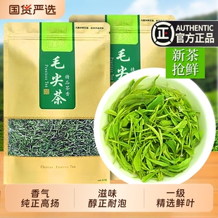 信阳绿茶茶叶2025新茶散装毛尖正宗雨前春茶袋装500g炒青茶浓香型