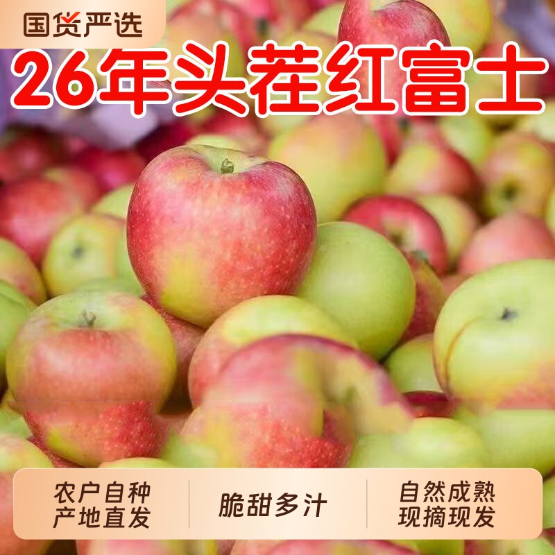正宗山西红富士苹果应当季图片
