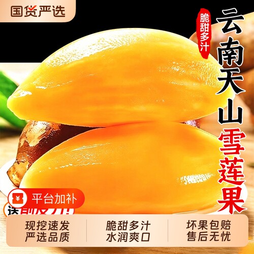 云南天山雪莲果脆甜多汁！爽口