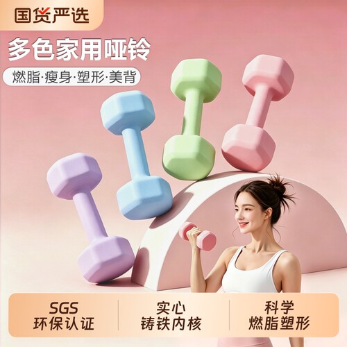 家用女士哑铃一对装实心铸铁瘦身健身器材宿舍手臂塑形磨砂小哑铃