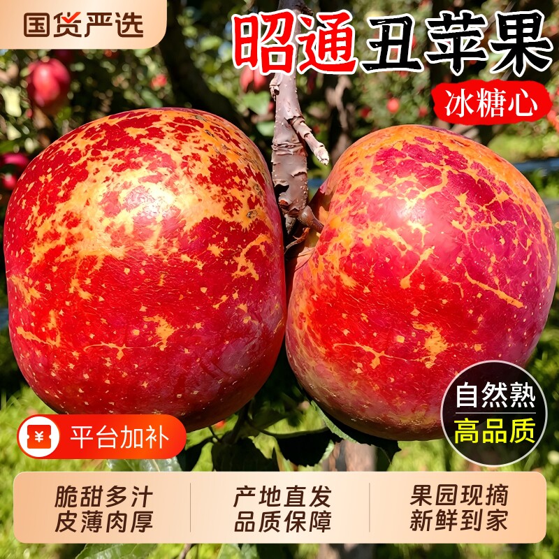 【昭通丑苹果9斤精装】脆甜多汁