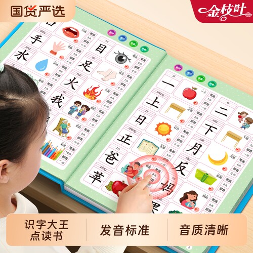 识字书有声书儿童识字大王3000字