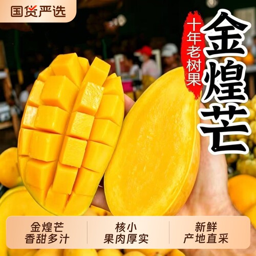 正宗海南金煌芒果新鲜采摘应当季水果黄皮水仙芒核小肉厚果肉现摘