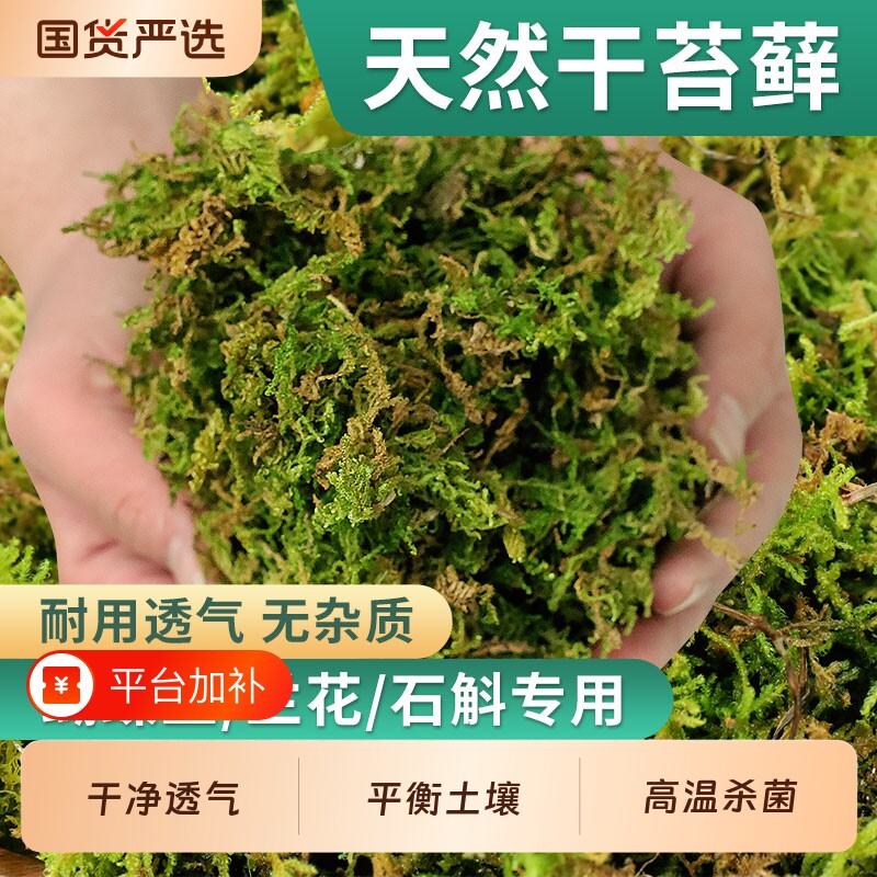 干苔藓天然青苔石斛兰花种植土爬宠乌龟垫材蝴蝶兰花专用水苔土壤